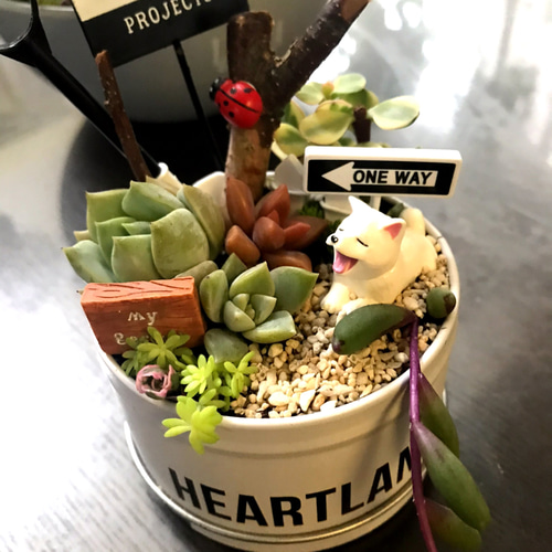受注制作 ミニ箱庭風〜多肉植物寄せ植え その他インテリア雑貨 まぁ