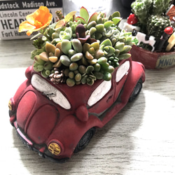 プレゼントにも〜受注制作 大 うさぎちゃん箱庭風多肉植物寄せ植え