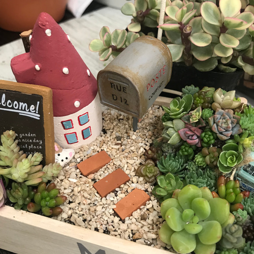 箱庭風多肉植物寄せ植え その他インテリア雑貨 まぁちゃん 通販 箱庭風多肉植物寄せ植え その他インテリア雑貨 まぁちゃん 通販