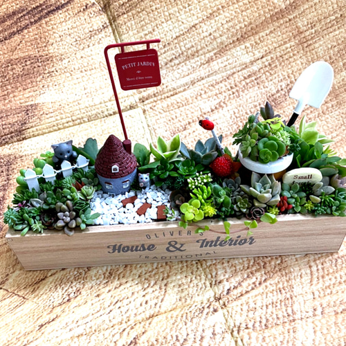 受注制作 円形わんちゃんにゃんこ箱庭風多肉植物寄せ植え 多肉
