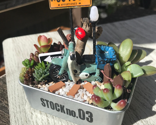 多肉植物 自動車型木箱寄せ植え＆かえるちゃんオブジェ＊。