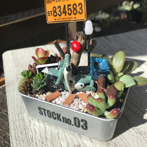 受注制作 ミニ箱庭風多肉植物寄せ植え その他インテリア雑貨 まぁ