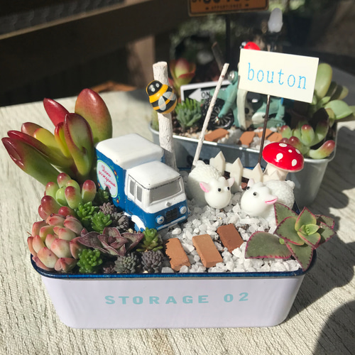 多肉寄せ植え✿カエル✿スタバ✿そのまま飾れます f0ec6facee28500be2063ea154dfa8