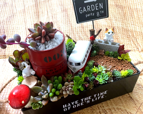 ★多肉植物　寄せ植え〜食いしん坊にゃんこのキッチン風寄せ〜★ プレゼントにも〜受注制作ブリキ缶にゃんこ箱庭風多肉植物寄せ植え