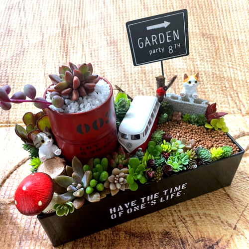プレゼントにも〜受注制作ブリキ缶にゃんこ箱庭風多肉植物寄せ植え