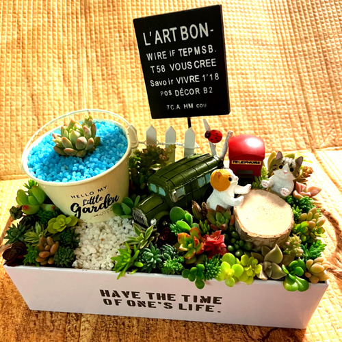 プレゼントにも〜受注制作ブリキ缶にゃんこ箱庭風多肉植物寄せ植え