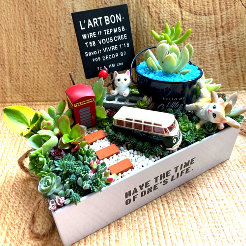 プレゼントにも〜受注制作ブリキ缶にゃんこ箱庭風多肉植物寄せ植え