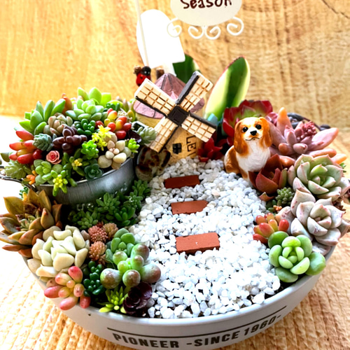 受注制作 母の日ギフトにも にゃんこガーデン箱庭風〜多肉植物