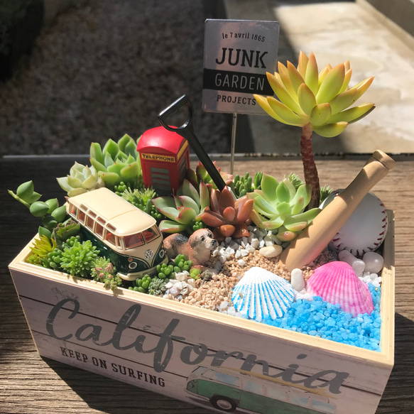 野球モチーフ入箱庭風多肉植物寄せ植え その他インテリア雑貨 まぁ