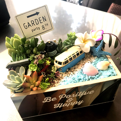 値下げしました♪♪★★箱庭風❤️★寄せ植え★このまま飾れます★多肉植物★★ 受注制作 自転車のあるお庭箱庭風多肉植物寄せ植え 多肉植物 まぁ