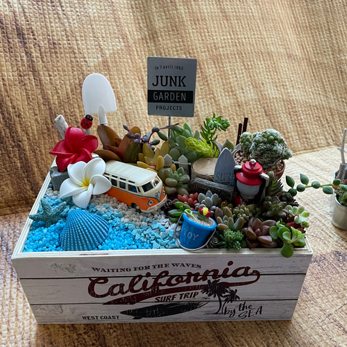 受注制作 箱庭風多肉植物寄せ植え その他インテリア雑貨 まぁちゃん