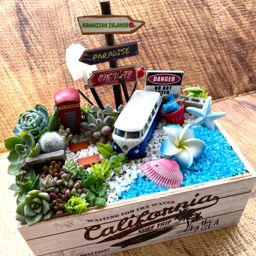 受注制作 箱庭風多肉植物寄せ植え その他インテリア雑貨 まぁちゃん