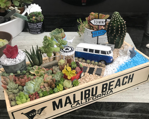 ☆のん☆クリスマスが待ち遠しいペアクマちゃん☆多肉鉢☆ガーデン雑貨☆