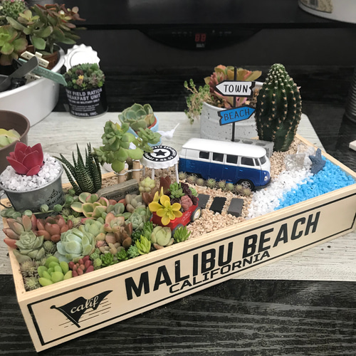 受注制作 ガーデンorオーシャン箱庭風多肉植物寄せ植え その他