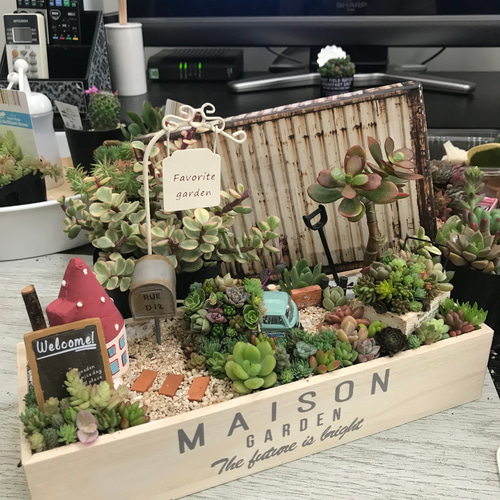 受注制作 ガーデンorオーシャン箱庭風多肉植物寄せ植え その他