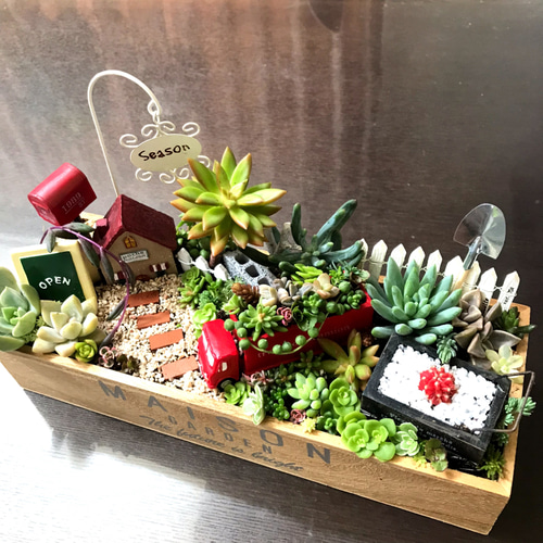受注制作 ガーデンorオーシャン箱庭風多肉植物寄せ植え その他