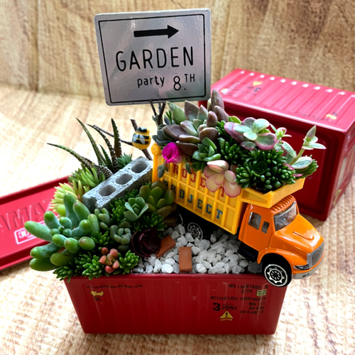 オーダー承ります 多肉植物寄せ植え そのまま飾れる ちま寄せ花車 多肉 