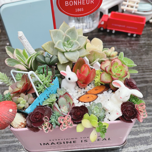 受注制作 箱庭風多肉植物寄せ植え その他インテリア雑貨 まぁちゃん