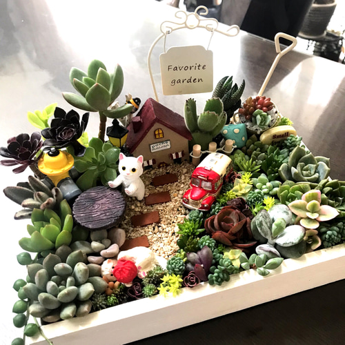プレゼントにも受注制作 にゃんにゃんガーデン箱庭風多肉植物寄せ植え