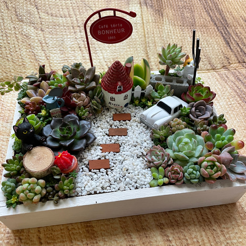 ♡そのまま飾れる♡ヨーロピアンガーデンの箱庭風♬多肉植物寄せ植え♡ ♡そのまま飾れる♡陶器鉢♬ヨーロピアンガーデンの箱庭風多肉植物寄せ