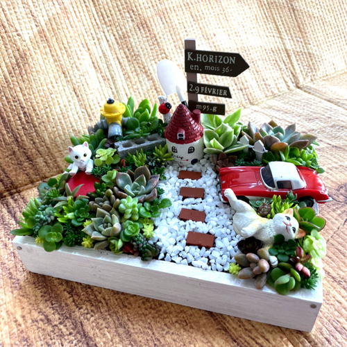プレゼントにも受注制作 にゃんにゃんガーデン箱庭風多肉植物寄せ植え