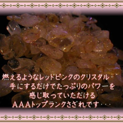  第4張的照片