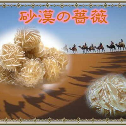 神秘の結晶✧デザートローズ☆砂漠が生んだ薔薇の奇跡☆自然が描いた