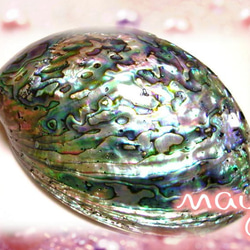 やっと再入荷☆ニュージーランド産☆溢れ出る虹が眩しい！☆最高ランク