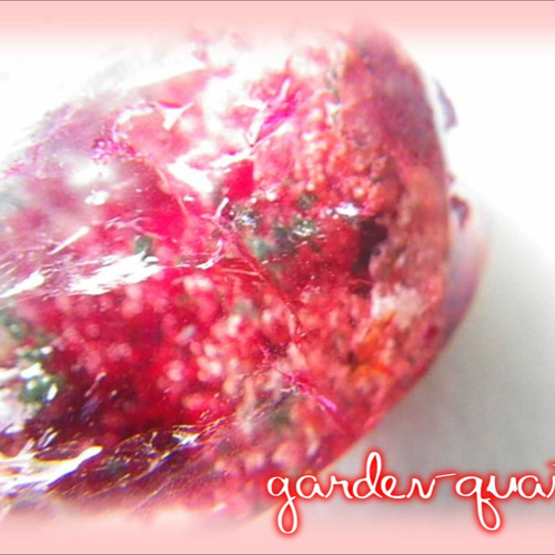 1点限り☆石の中に広がる真っ赤な庭園・・・・ガーデンクォーツ（水晶