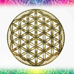 生命力の源☆マスター・オブ・エナジーの秘密のしくみ 小型オゾン発生器 コスモゾナイザー CosmOzonizer / COZ-50