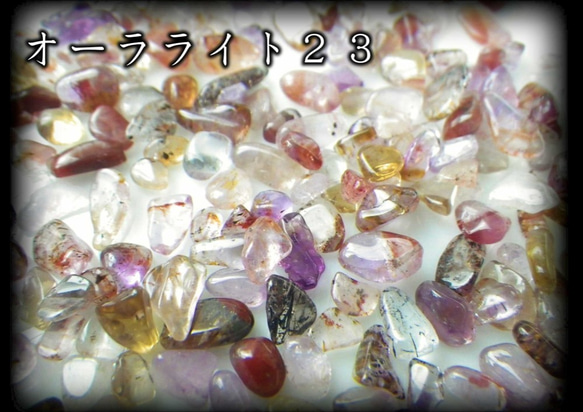  第2張的照片