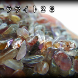  第4張的照片