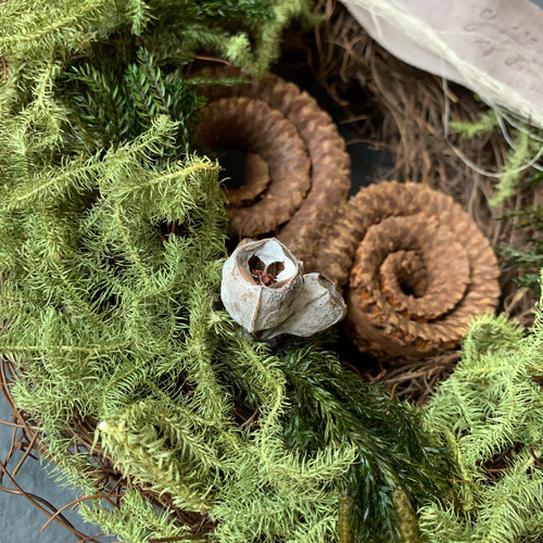 タルホーンの鳥の巣リース ドライフラワー powder 通販 10041289