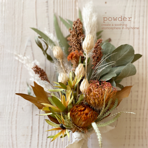 フォルモーサのおおきめブラウンスワッグ