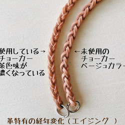 【再販】⭐︎金の願い星⭐︎ ネームタグ 付き 星 金具の 本革 チョーカー（ 犬用 真鍮 迷子札 ） 5枚目の画像