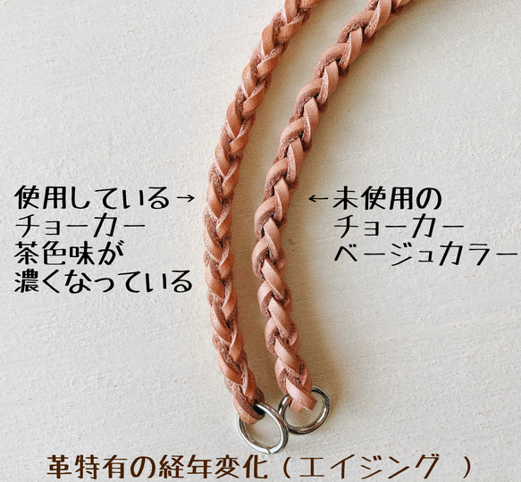 【再販】⭐︎金の願い星⭐︎ ネームタグ 付き 星 金具の 本革 チョーカー（ 犬用 真鍮 迷子札 ） 5枚目の画像