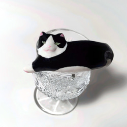 伸びる猫のポニーフック(ハチワレ猫) 3枚目の画像