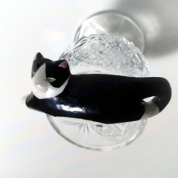伸びる猫のポニーフック(ハチワレ猫) 6枚目の画像