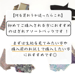 【初めての方にはこれ！】オーダー専門店のはぎれアソートお試しセット◎ 2枚目の画像
