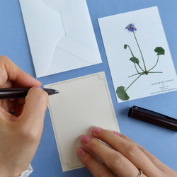 【送料無料】押し花のカード(ツタスミレ） 2枚目の画像