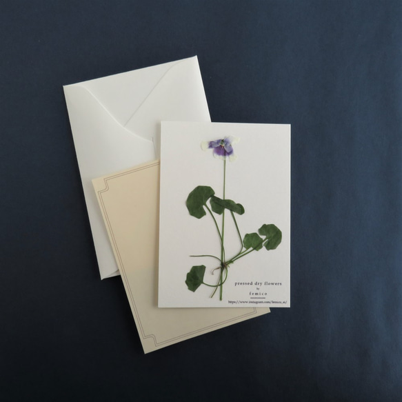 【送料無料】押し花のカード(ツタスミレ） 3枚目の画像