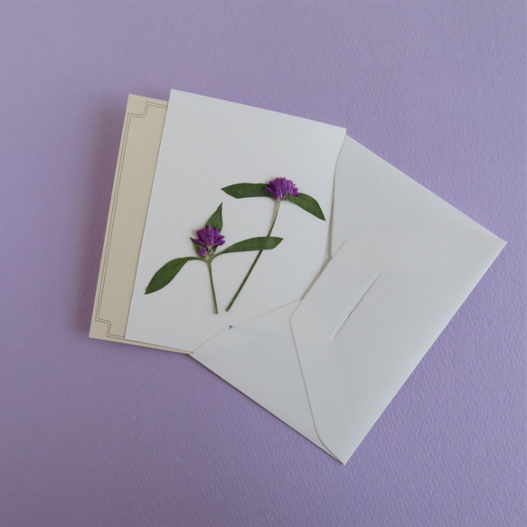 【送料無料】押し花のカード(千日紅） 2枚目の画像