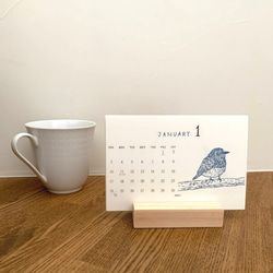 2021鳥類カレンダー　卓上タイプ 4枚目の画像