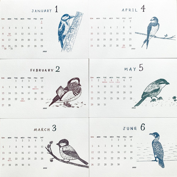 ＊台座なし　2022鳥類カレンダー　卓上タイプ（日曜始まりと月曜始まり選べます♪） 3枚目の画像
