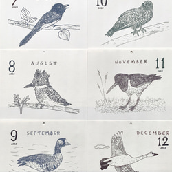 ＊台座なし　2022鳥類カレンダー　卓上タイプ（日曜始まりと月曜始まり選べます♪） 4枚目の画像