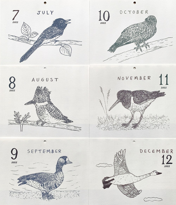 ＊台座なし　2022鳥類カレンダー　卓上タイプ（日曜始まりと月曜始まり選べます♪） 4枚目の画像