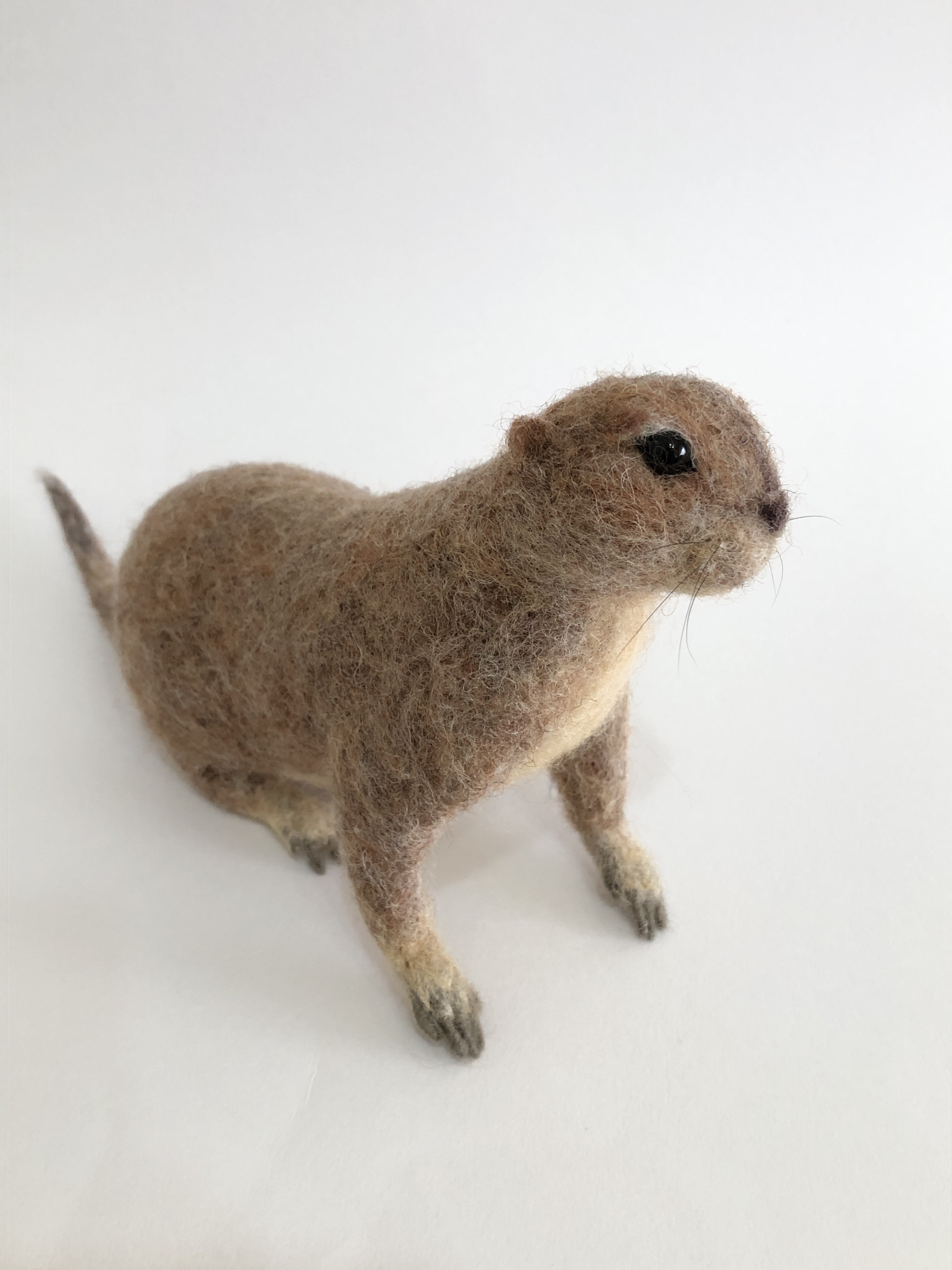 羊毛＊プレーリードッグL （リアル髭） 羊毛フェルト 華梨 通販