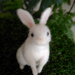 0_1a318e65df7183d07af99c40c35d