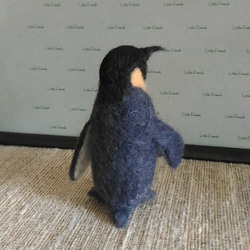羊毛 ペンギン 2枚目の画像
