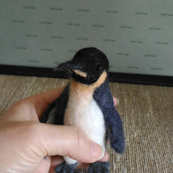 羊毛 ペンギン 4枚目の画像